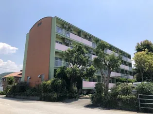 野市グリーンハイツの画像