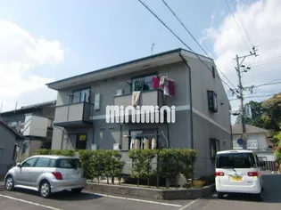 ビィー ウィステリアの画像