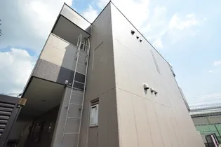 ライラックの画像