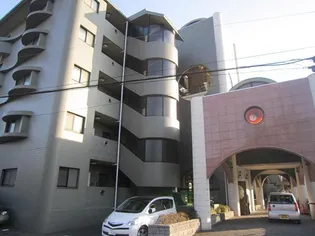 フィールド サンの画像