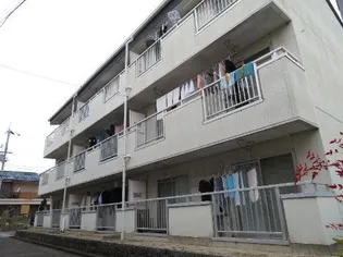 美山マンション【1階】の外観