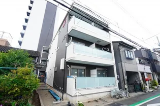 F ASECIA SPHALEの画像