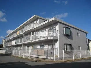 ロイヤルストークの画像