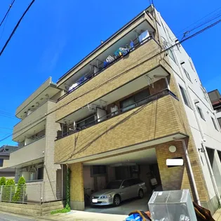 コトーサイトウの画像