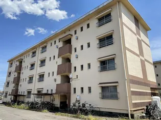 サンシティ ENOKUMA II【3階】の外観