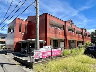 フォーチュンの画像