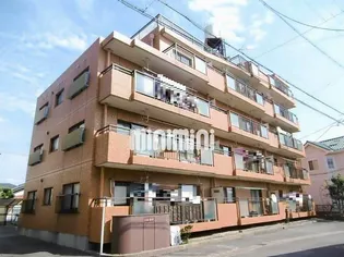 メゾン碧新【4階】の外観