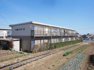 十王堂ハイツB【1階】の外観