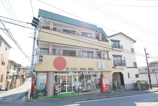 神奈川県川崎市宮前区神木本町5【マンション】の外観