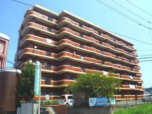 アメニティハイツ杏栄館【7階】の外観