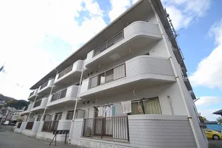 サンシャインコトブキの画像