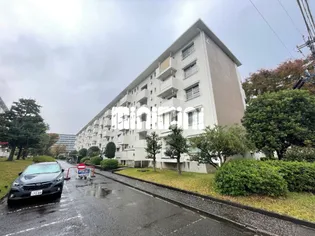 藤の木団地2棟の画像