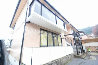 ディアス椎の木の画像