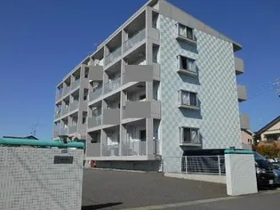 アザレアの画像