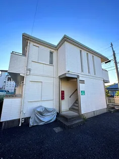 パピヨンの画像