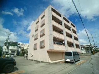 アンジェーラの画像