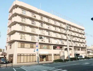 プラザマンションの画像