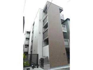 ドエルシバマタの画像