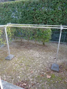 ベルグレイスの内装