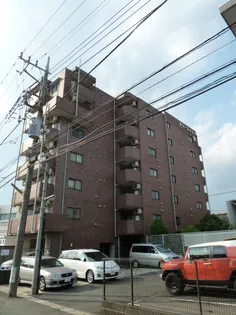 セシーズイシイ16の画像
