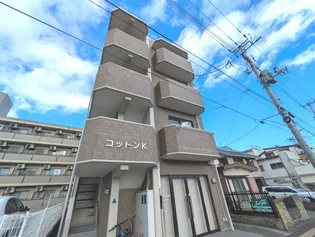 コットンKの画像