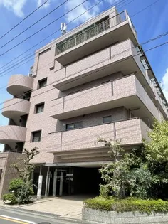 ROOT WHITE2の画像