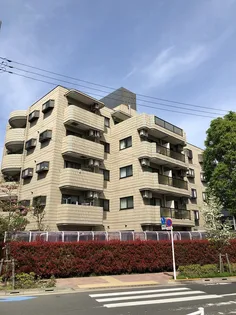 モリコーポ【1階】の外観