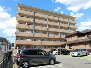 ルミエールの画像