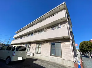 シティセラの画像