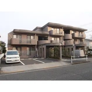 パーシカム Nの画像