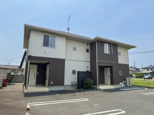 コンフォートの画像