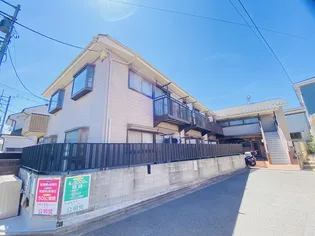 マツノキ30の画像