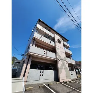 M HILL'S30の画像