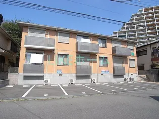 サンセットKの画像