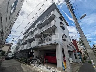 ハイネス成輪の画像