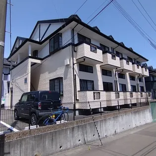 ラックステラの画像