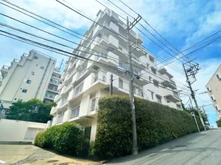 藤が丘ハイツ【1階】の外観