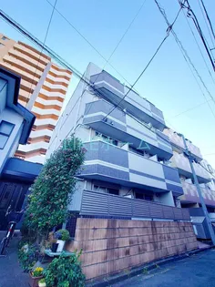 ELAN VITALの画像
