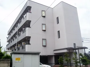 ウィンデールの画像