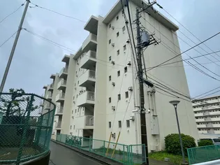 峰沢団地3号棟504号室【5階】の外観