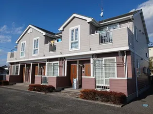 バンブーウエルスの画像