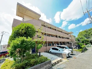 サンフローラの画像