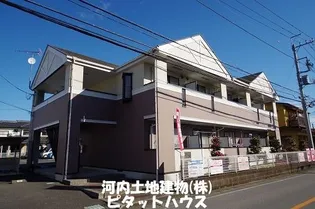 エクセランNの画像