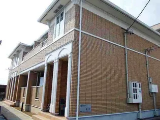 アネモネの画像