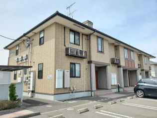 セフィオ グレースAの画像