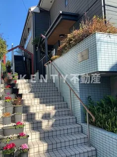 ブルーラビットの画像