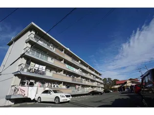 MESSAGE有玉西の画像