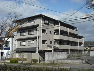 フォレスト・グリーン宝ヶ池【4階】の外観