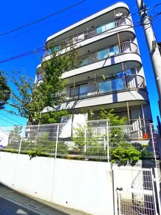 メゾングレイスの画像