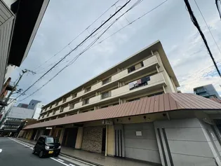 アルファコートの画像